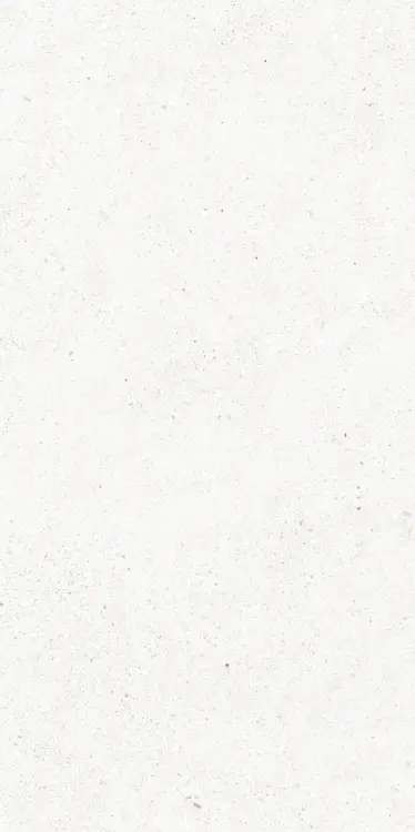 67538.