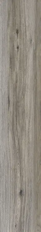 61901.