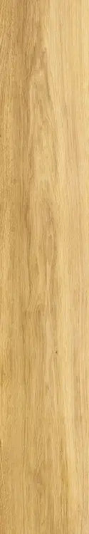 67609.
