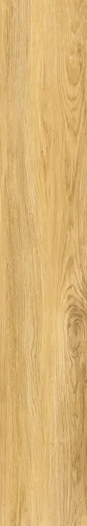 67611.