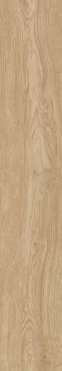 67636.