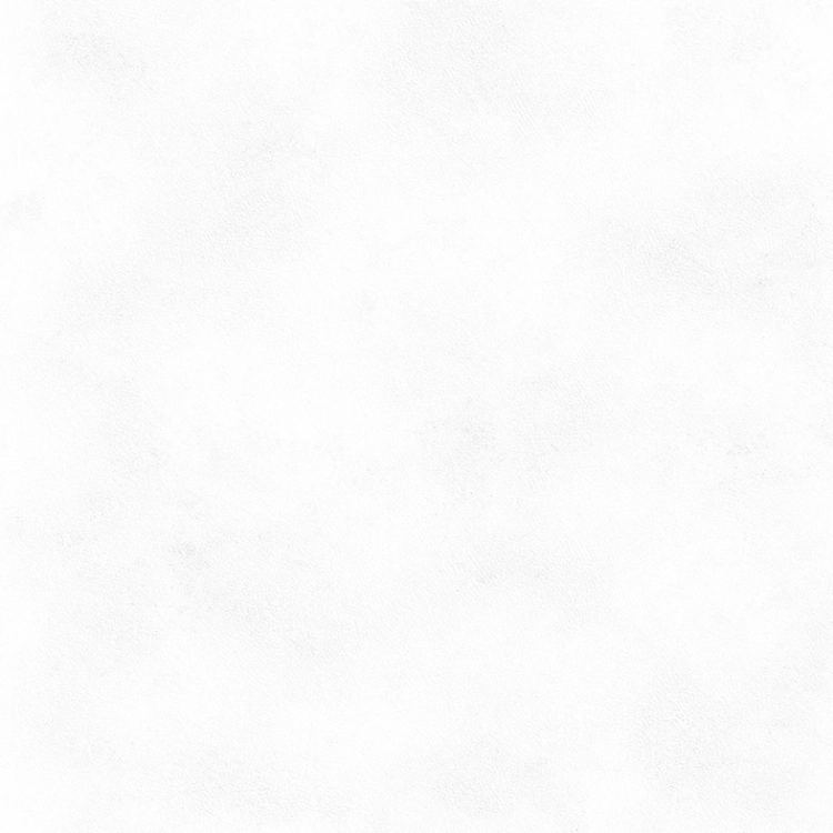 67729.