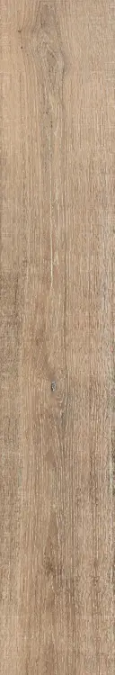 68209.