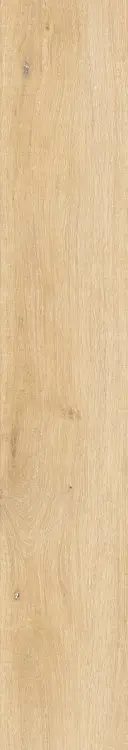 62599.