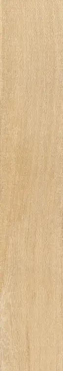 68228.