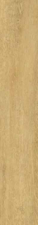 62617.