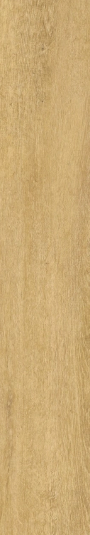 68244.