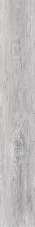 62664.
