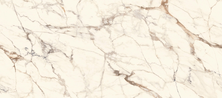 51ff8003a410855e56a1bd696d013896