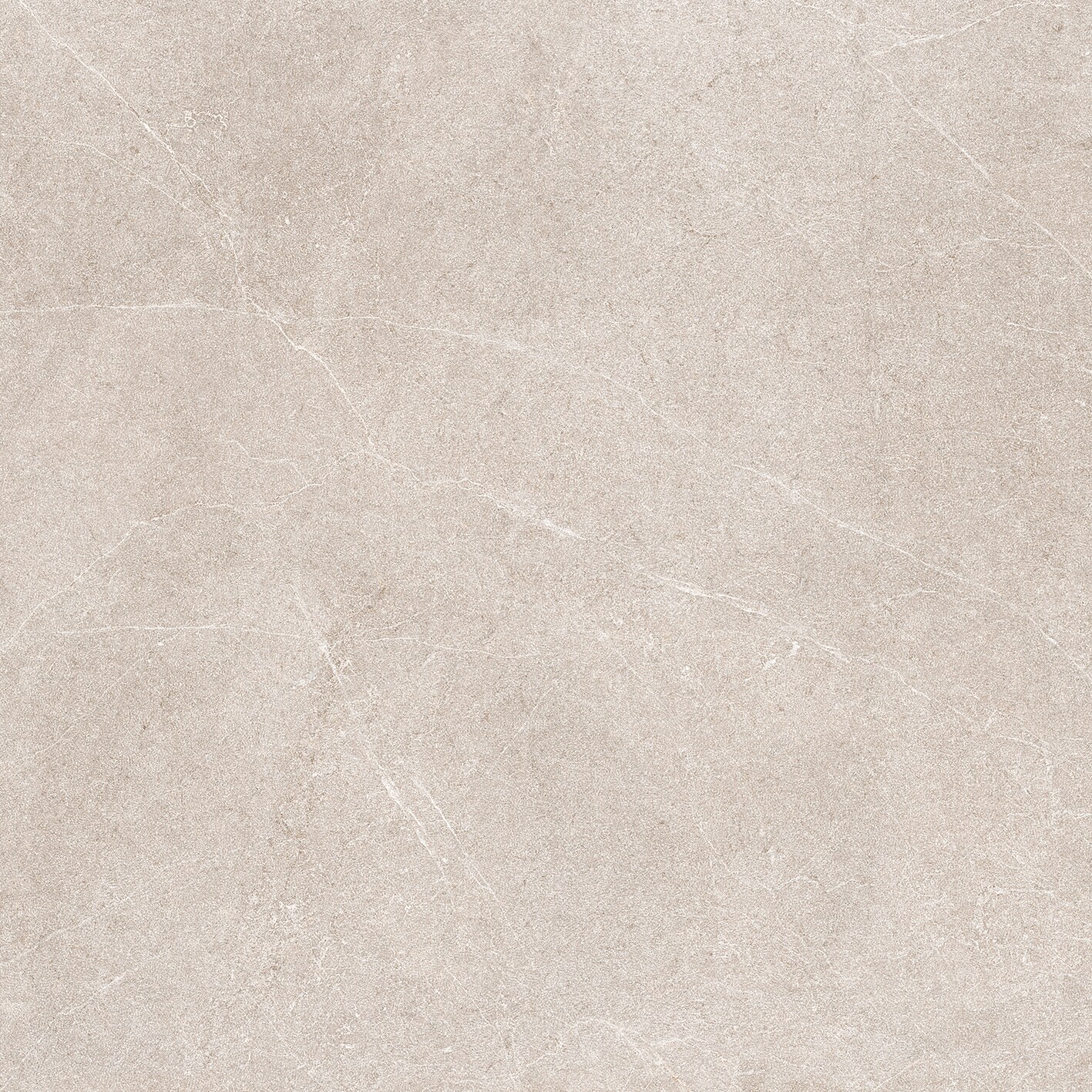 a6960bef5ebdf7c7765a8565c1e10caa