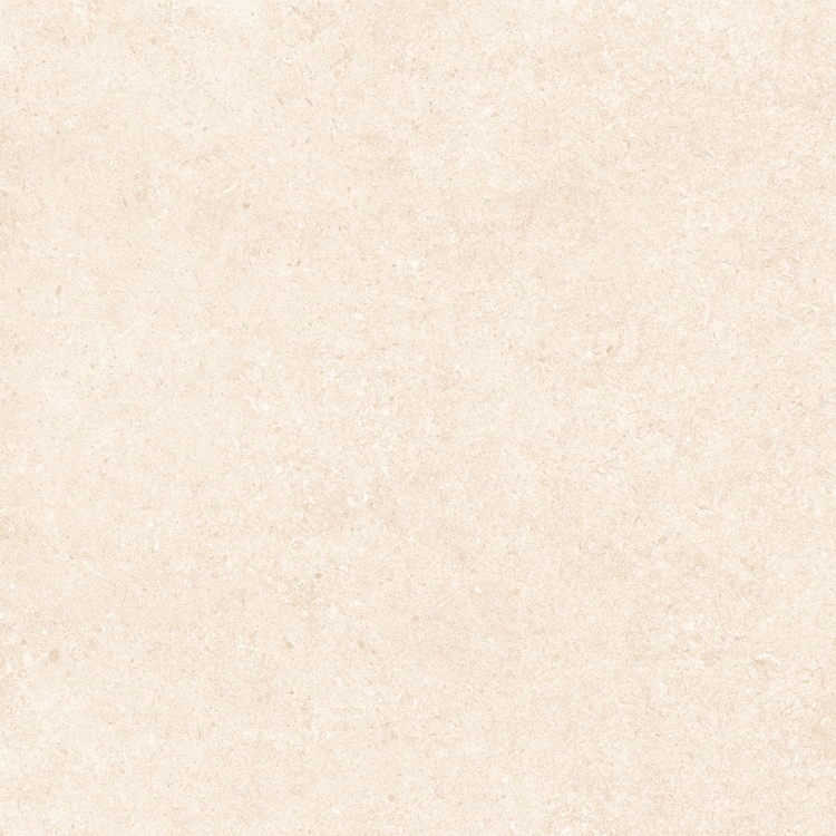 bb1b96680a51bae2ec65b08650204670