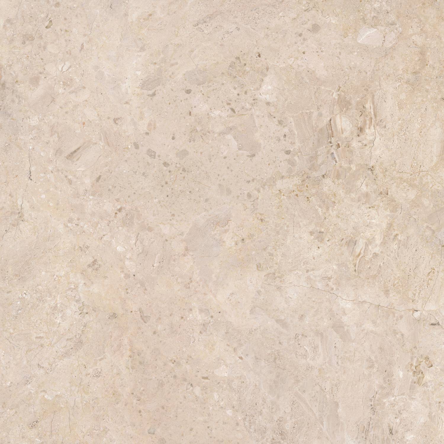 43991_ARDARA_CARAMEL_AS_100_01.jpg