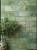 L'Antic Colonial Fiji Green 10x20 — ambient