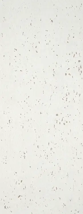LAPL00018-la-platera-goldstone-snow-35-90-mata.jpg