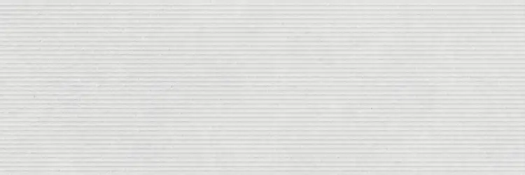 Pamesa Rlv. Cromat Blanco 30x90 [mat] — plytka