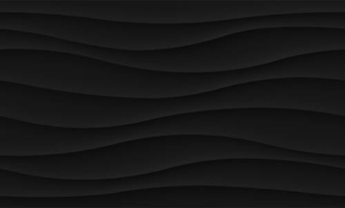 Pamesa Rlv. moss Negro 33,3x55 mat — plytka