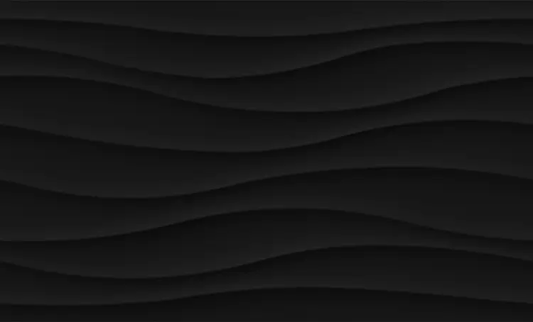 Pamesa Rlv. moss Negro 33,3x55 mat — plytka