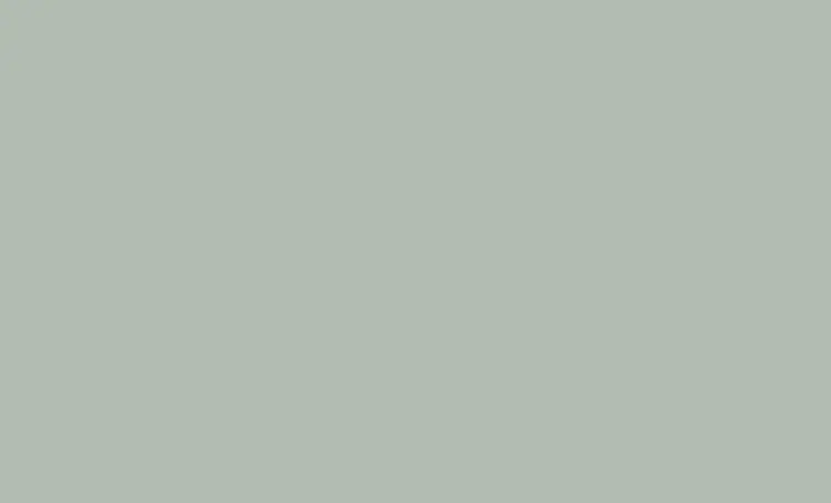 Pamesa Moss Green 33,3x55 mat — plytka
