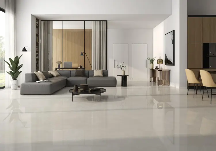 Pamesa Danello Marfil 120x120 połysk — ambient