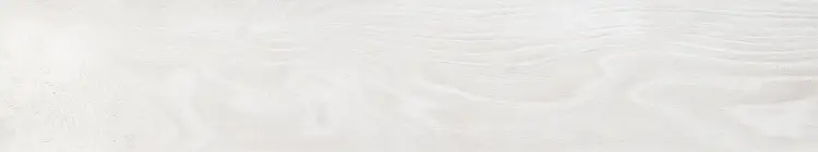 Pamesa Eternity Blanco 20x120 mat — plytka