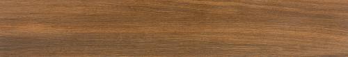 Pamesa Atrium Rainier Nogal 20x120 — plytka