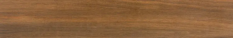 Pamesa Atrium Rainier Nogal 20x120 — plytka
