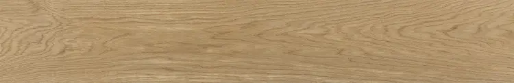 Pamesa Atrium Evoque Roble 20x120 mat — plytka