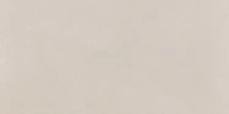 Pamesa Essentiale Omnia Beige 60x120 mat — plytka