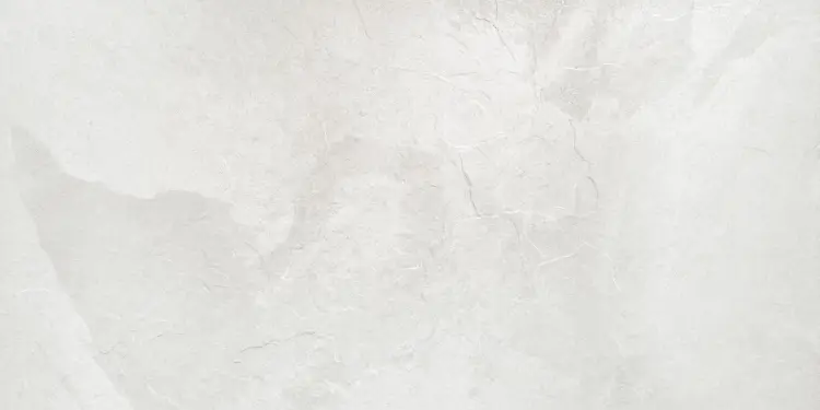 Pamesa Rhin Blanco 60x120 mat — plytka
