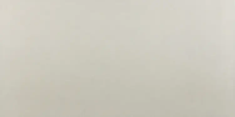 Pamesa Atrium Basic Pearl 60x120 mat — plytka