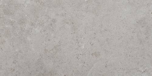 Pamesa Alba Stone Silver 60x120 — plytka
