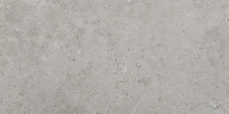 Pamesa Alba Stone Silver 60x120 — plytka