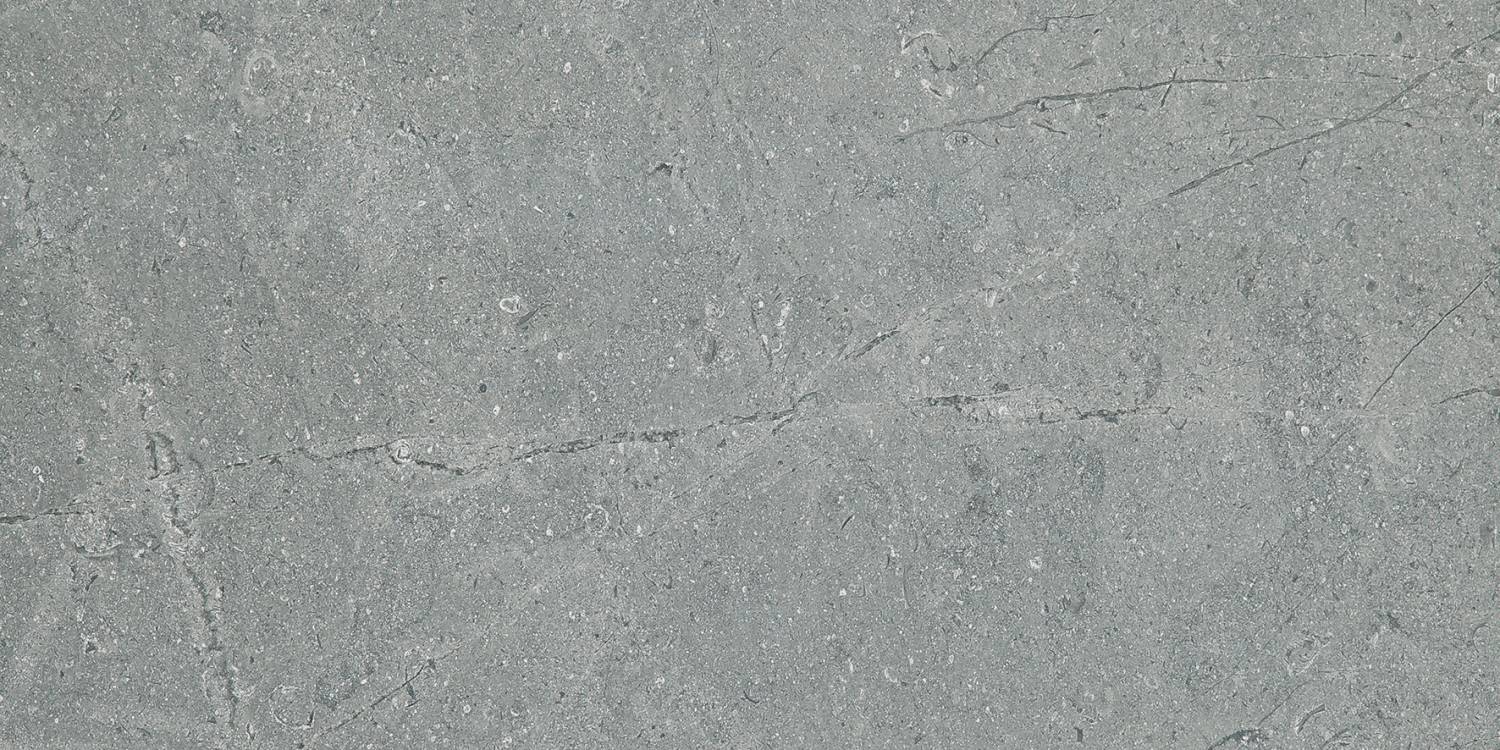 Pamesa Monreale Grigio 60x120 mat — plytka