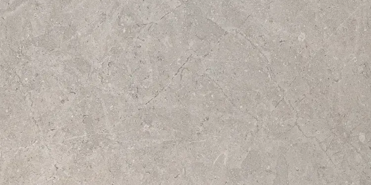 Pamesa Monreale Taupe 60x120 mat — plytka