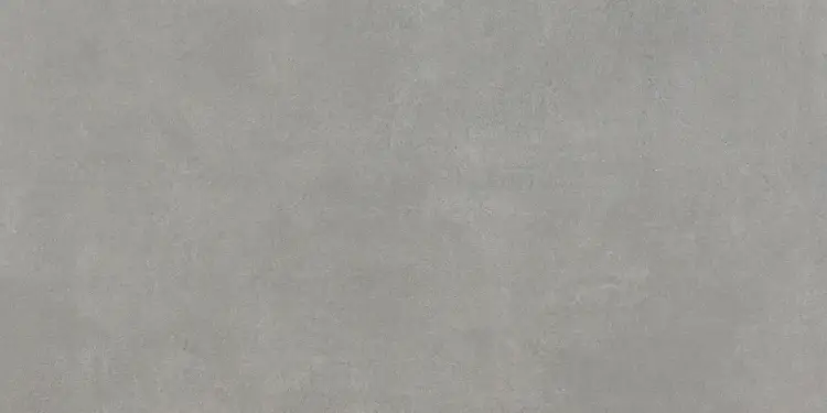Pamesa Essentiale Omnia Ash 60x120 mat — plytka