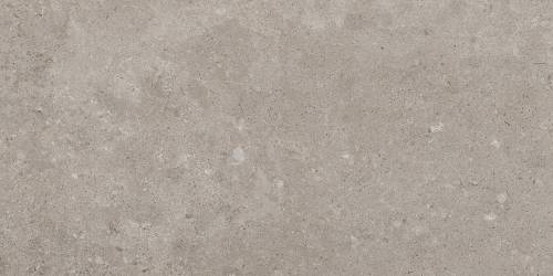 Pamesa Alba Stone Greige 60x120 mat — plytka