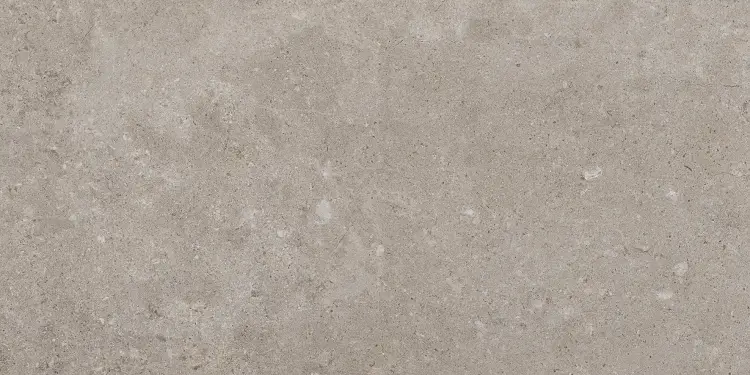 Pamesa Alba Stone Greige 60x120 mat — plytka