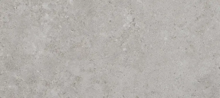Pamesa Alba Stone Silver 36x80 mat — plytka