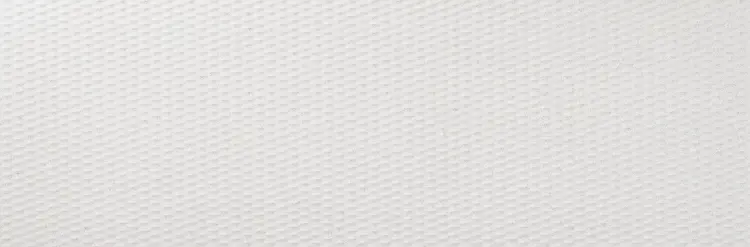 Pamesa Rlv. core White 33,3x100 mat — plytka