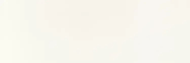 Pamesa Irida White 30x90 mat — plytka