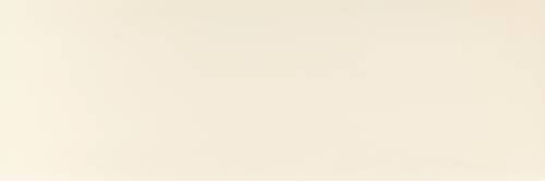 Pamesa Irida Cream 30x90 mat — plytka