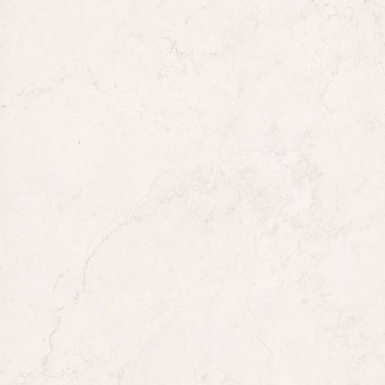 Pamesa Perlino Bianco 120x120 — plytka