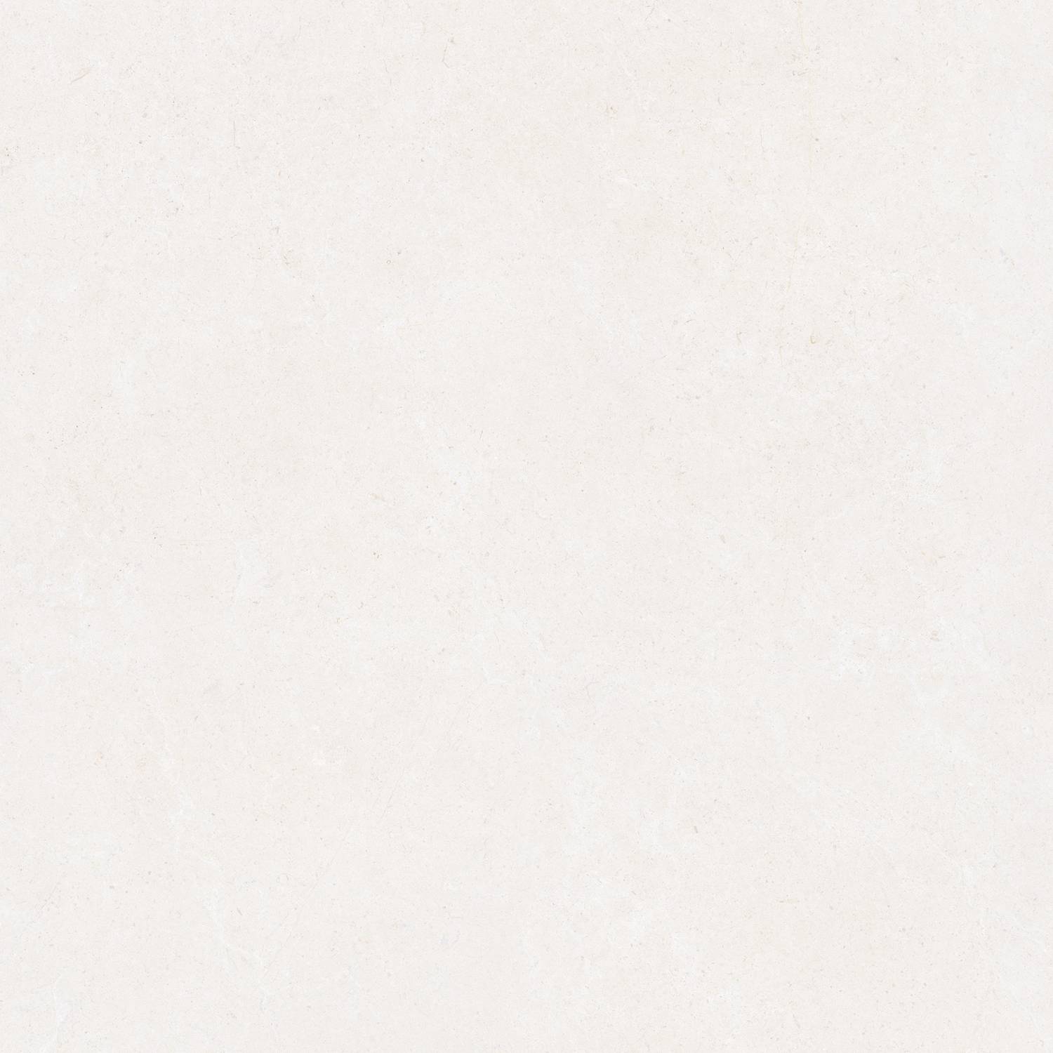 Pamesa Dune White 120x120 mat — plytka