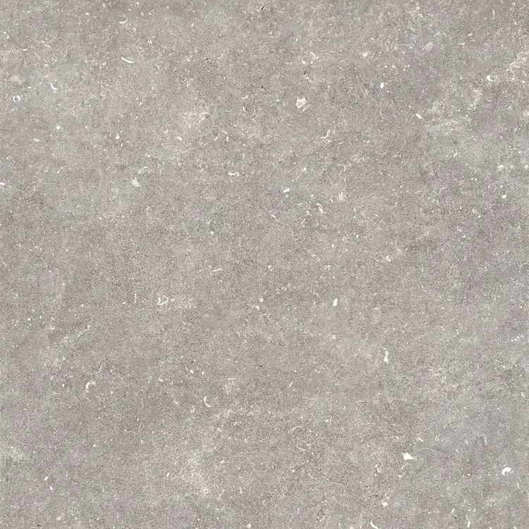 Pamesa Dover Gris 120x120 mat — plytka