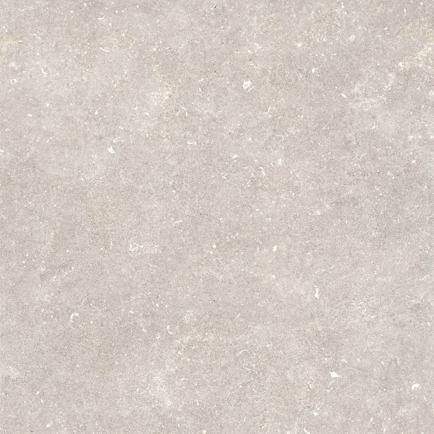 Pamesa Dover Greige 120x120 mat — plytka
