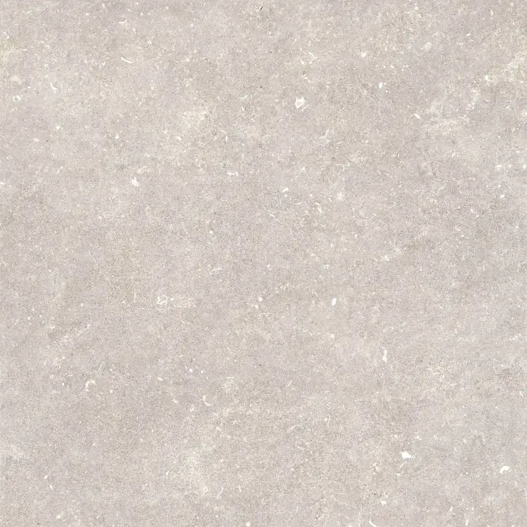 Pamesa Dover Greige 120x120 mat — plytka