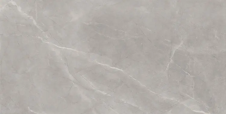 Baldocer Bayona Silver Pulido 120x240 połysk — płytka