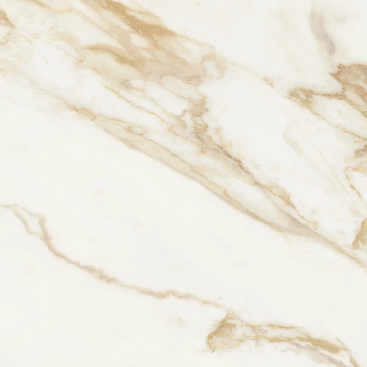Baldocer Adaggio Gold Pulido 60x60 połysk — płytka