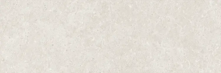 Baldocer Arkesia Moon 30x90 mat — płytka