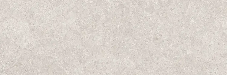 Baldocer Arkesia Ash 30x90 mat — płytka